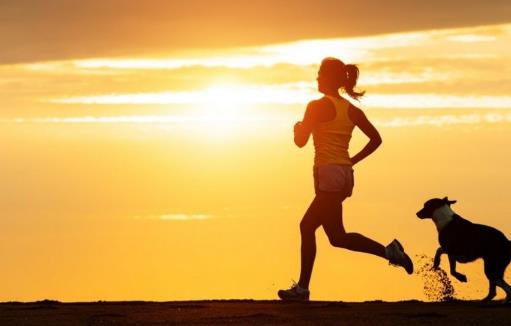 ��Щ���������������Ȳ��ɱ䡰���ȡ�