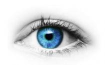 ����Ƥ��˫��Ƥ����Щ������