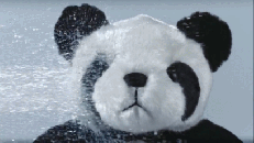 ����Ȧ�γ�ԭ�� 4��Ӫ��9����ʳ����Ů�ˡ���è�ۡ�