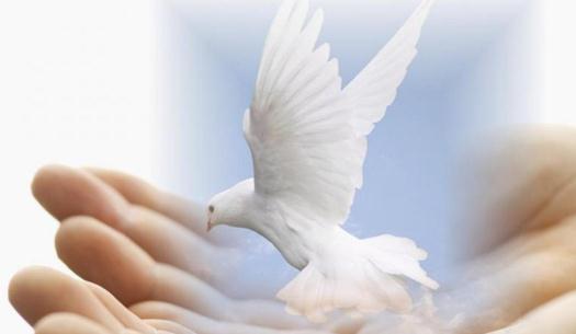 为什么求职失败?来找找失败的原因