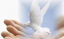 Ϊʲô��ְʧ�ܣ�������ʧ�ܵ�ԭ��