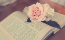 ��ְҪѧ��ȫ��λ�İ�װ�Լ�