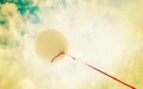 ��Ұ�ĵ��˸����׻�óɹ�