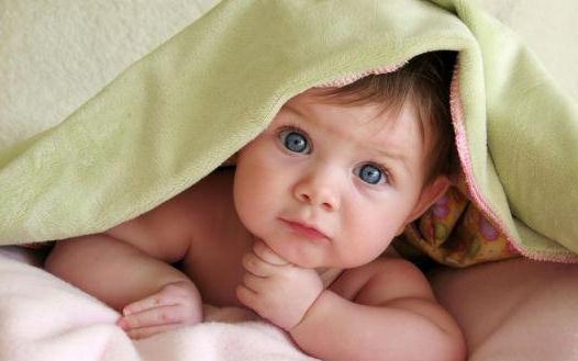 ְ��������Ҫ������