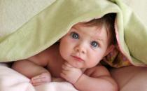 ְ��������Ҫ������