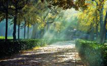 ��ְ��Ҫ����������̬Ӧ����ս