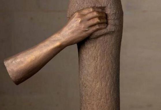 ��������¶����� ���˰���������� �ο�ȴ˵̫����