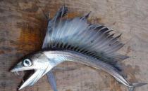 ������̲���ֲֿ����㣬������������