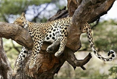 ����ǧ��ٹֵ�˯�ˣ���֪����