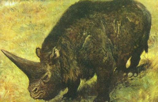 ����أ�ʷǰ������֪�����٣�