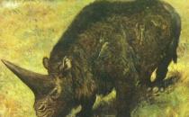 ����أ�ʷǰ������֪�����٣�